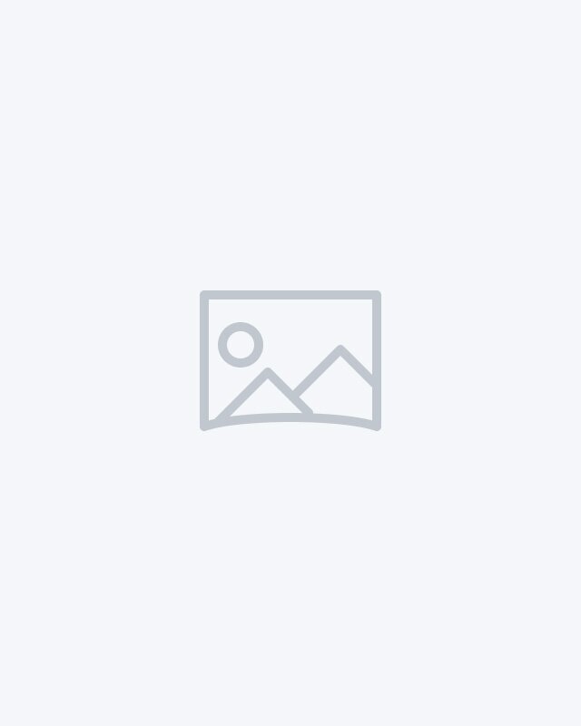brand icon