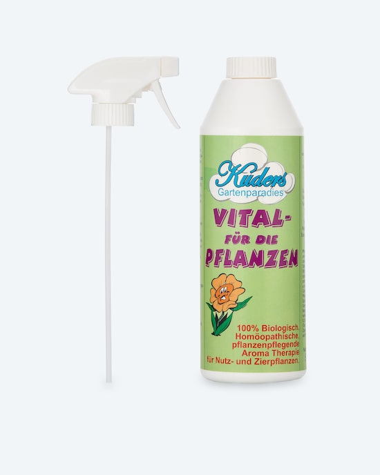 Produktabbildung für Sprühlösung