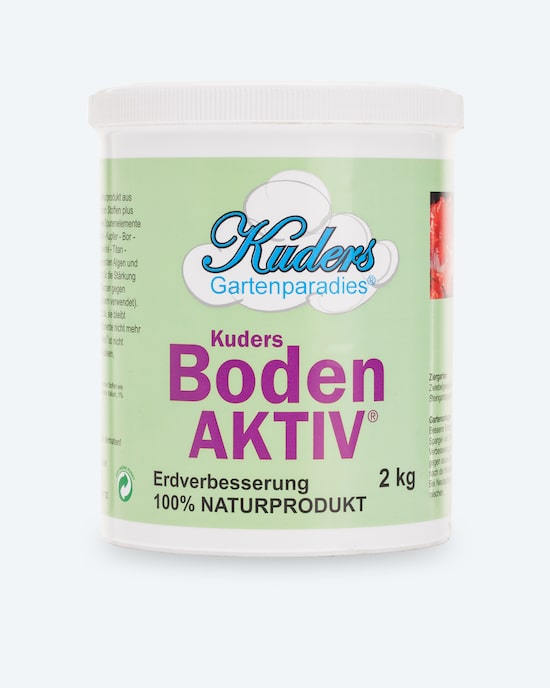 Produktabbildung für Boden-Aktiv