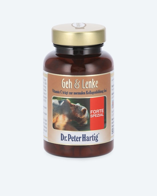 Produktabbildung für Geh & Lenke Forte Spezial, 450 Pressl.