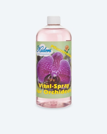 Produktabbildung für Orchideen-Spray