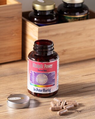 Vitalpilz Power, 120 Kapseln