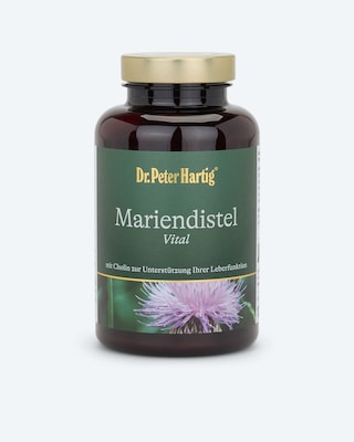 Produktabbildung 1 für Mariendistel Vital, 220 Kapseln