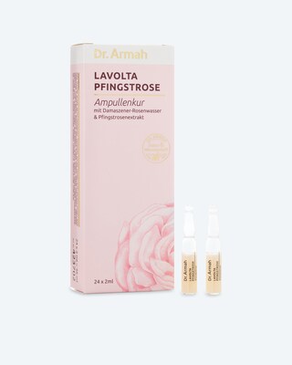 Pfingstrose Ampullen