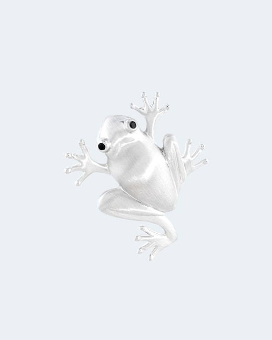 Produktabbildung für Anhänger Frosch