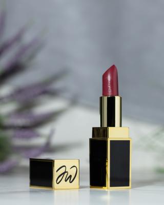 Irresistible Women Lipstick Mauve