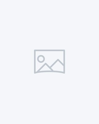 Beauty Elixier Gesichtsserum