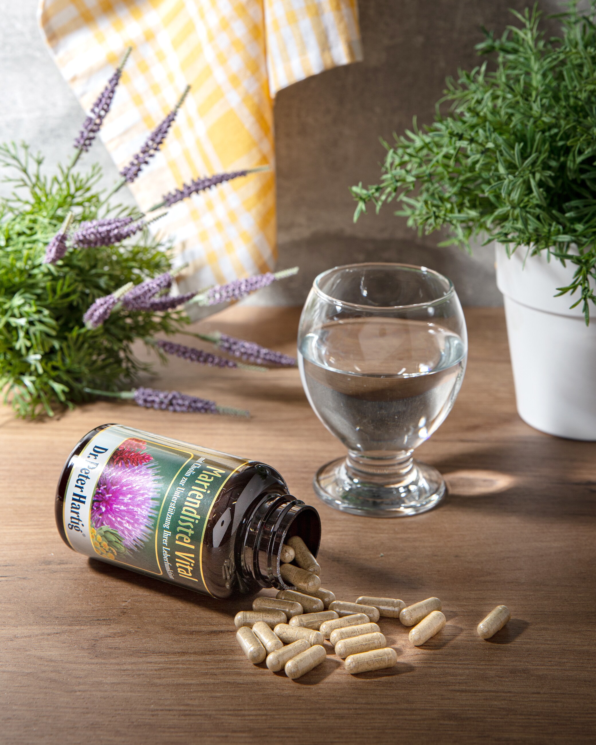 Mariendistel Vital, 120 Kapseln