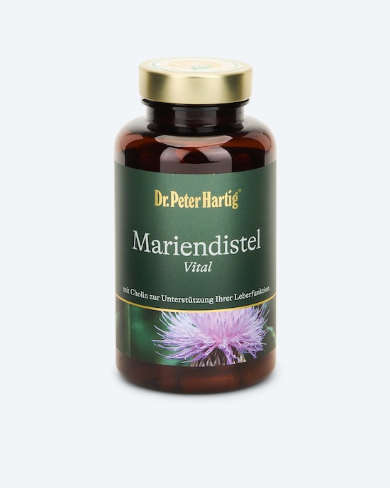 Produktabbildung für Mariendistel Vital, 120 + 10 Kps.