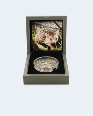 Silberkilo Wildlife Protection Hedgehog