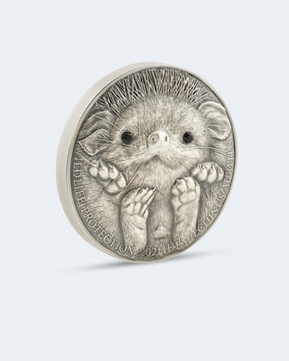 Silberkilo Wildlife Protection Hedgehog