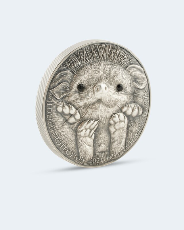 Silberkilo Wildlife Protection Hedgehog