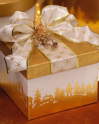Transfermotive Weihnachten 2021, 12tlg.