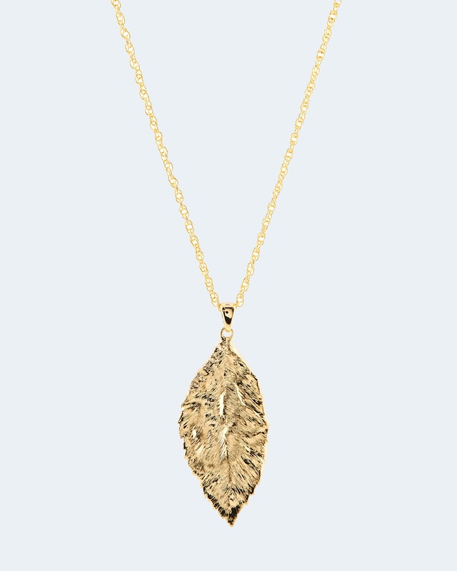 Anhänger mit Kette