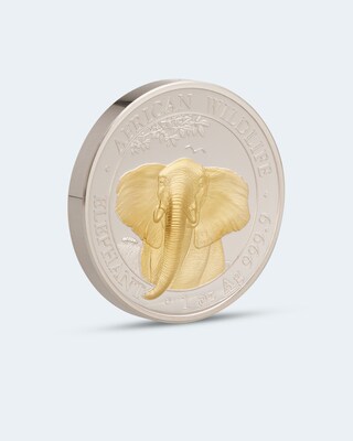 Highrelief Elefant 2021