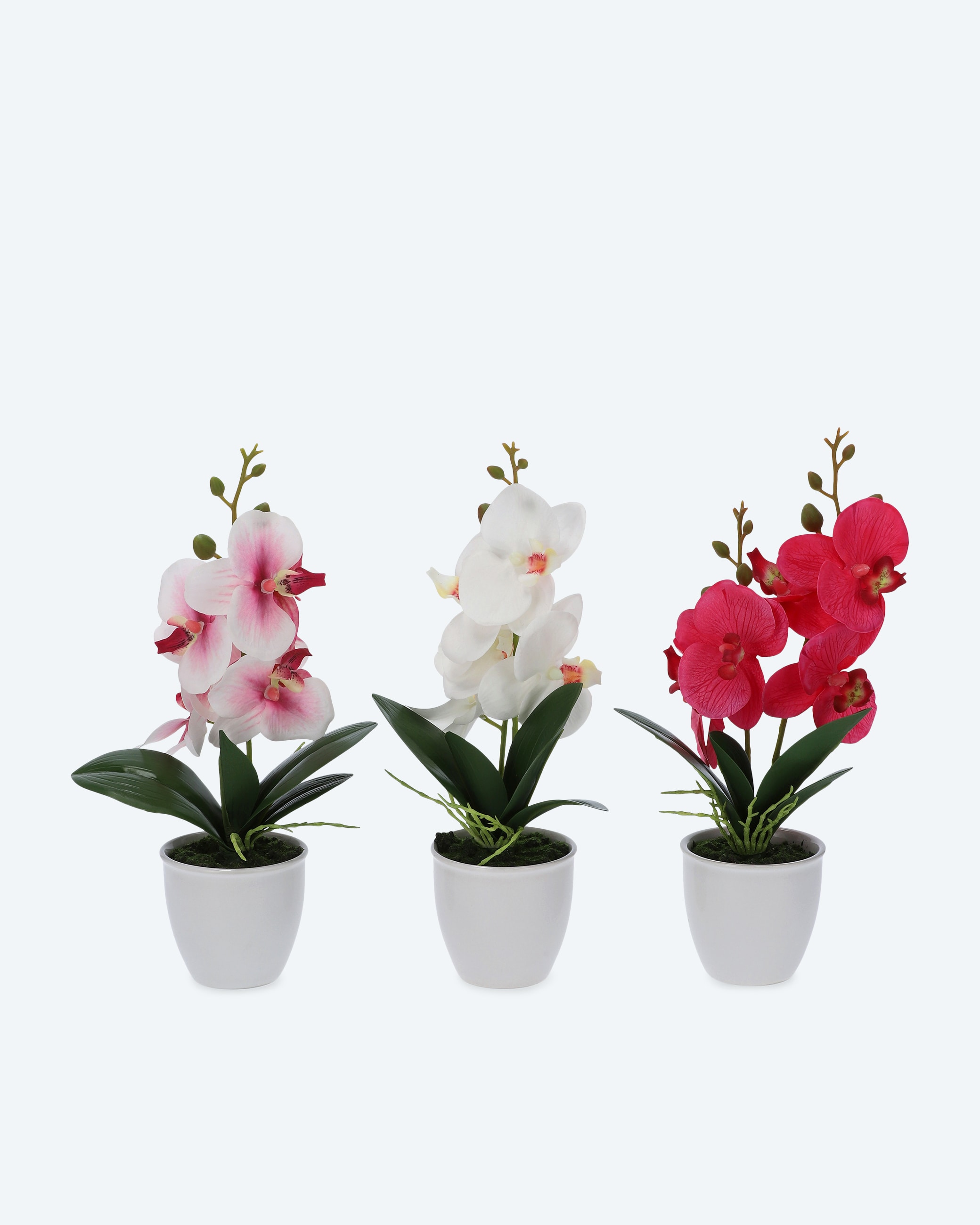 Orchideen-Arrangement Real Touch, 3er Set