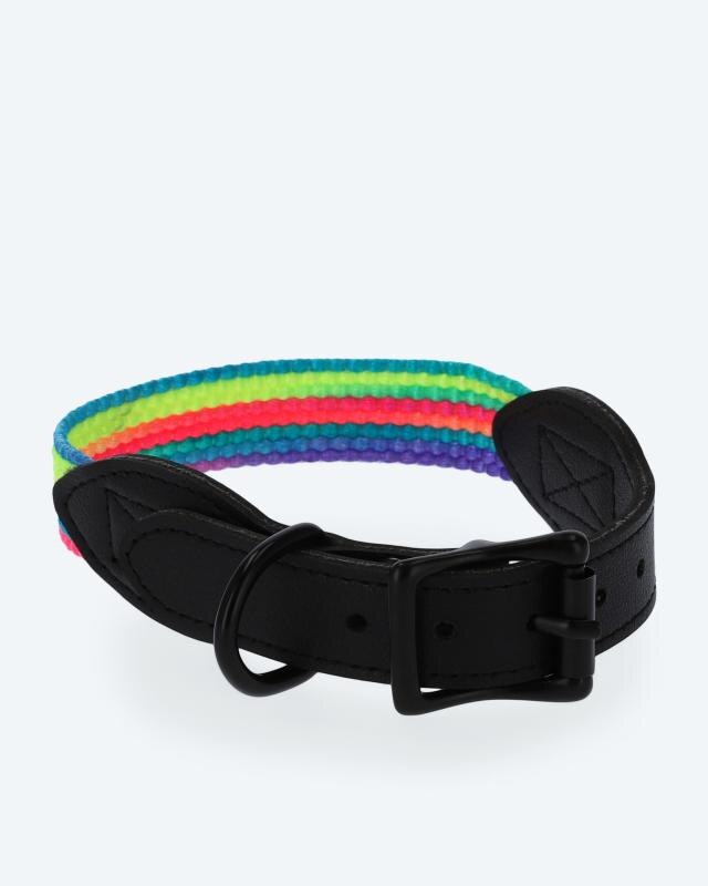 Produktabbildung für Hundehalsband "Rainbow"