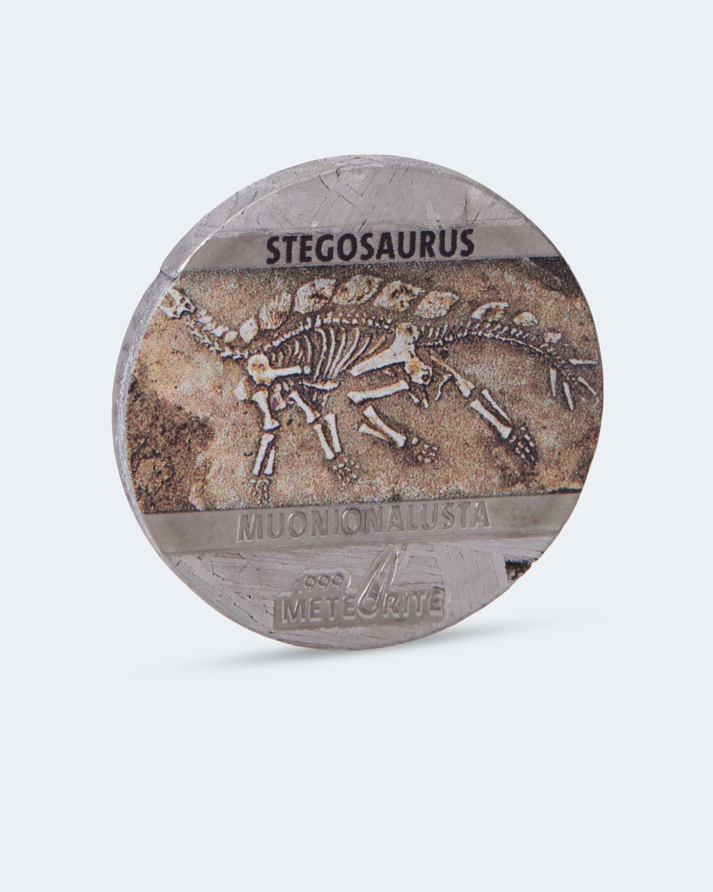 Produktabbildung für Meteoritenmünzen Stegosaurus
