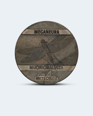 Meteoritenmünzen Meganeura 2021