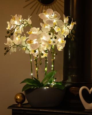 LED-Orchideen-Arrangement