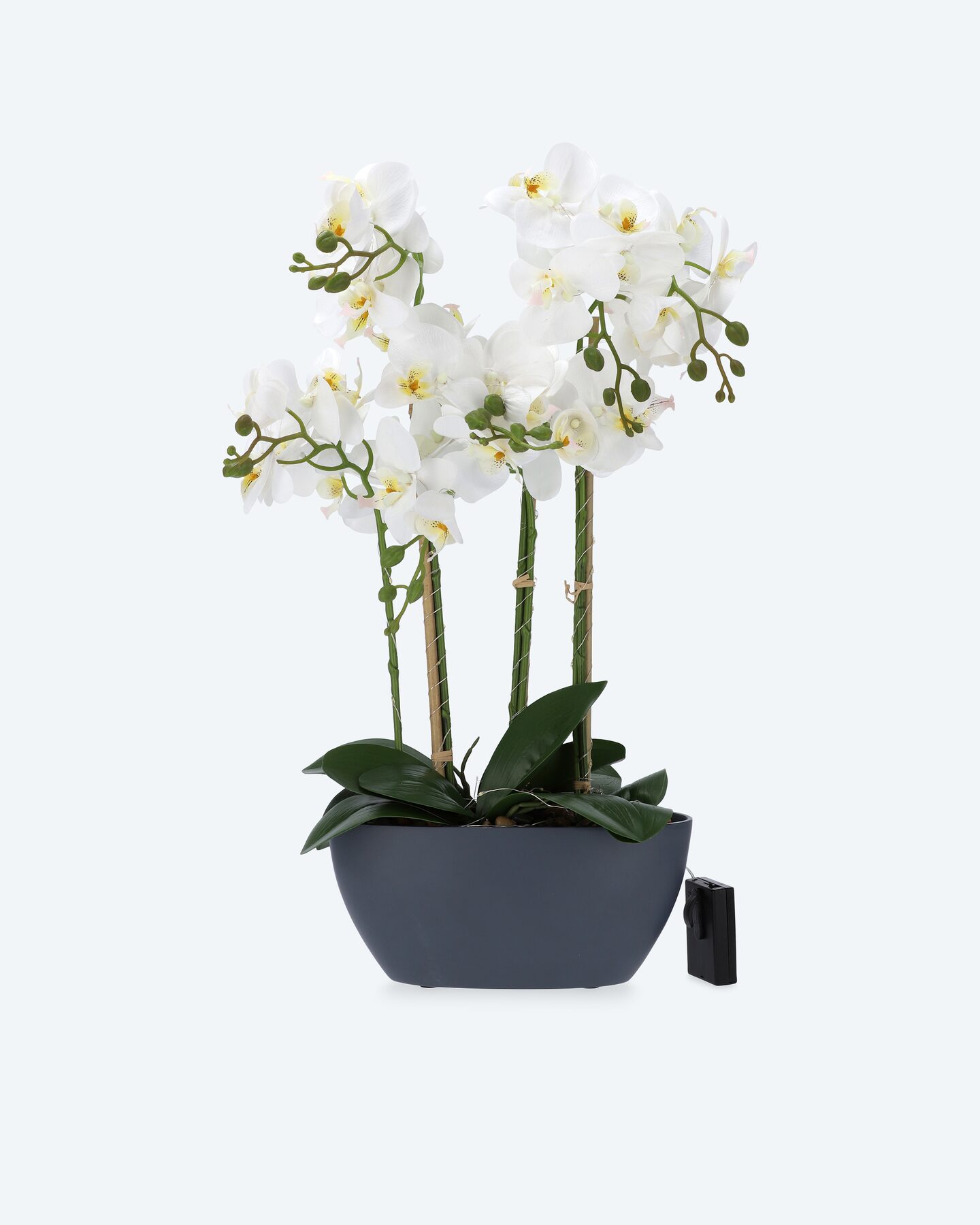 Produktabbildung für LED-Orchideen-Arrangement