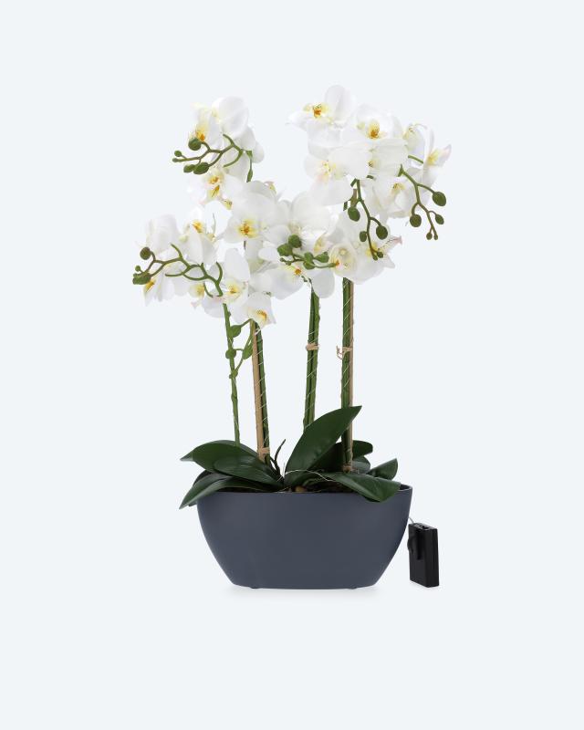 LED-Orchideen-Arrangement