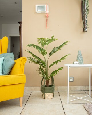 Palme im grünen Basttopf