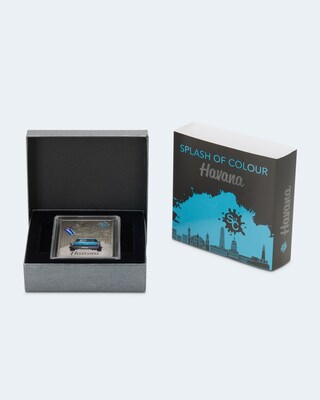 Silber Splash of Colour Havanna 2021