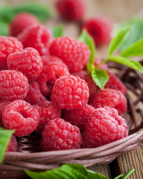 Produktabbildung für Topf Himbeere in Rot