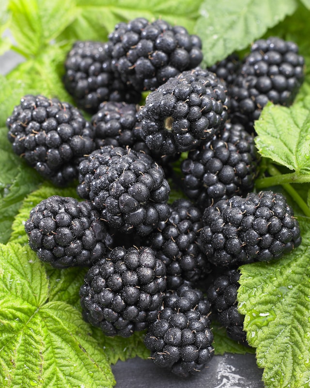 Besondere Beeren, 2tlg.