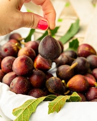 Produktabbildung für Feige "Miss Figgy"