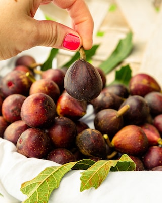 Produktabbildung 1 für Feige "Miss Figgy"