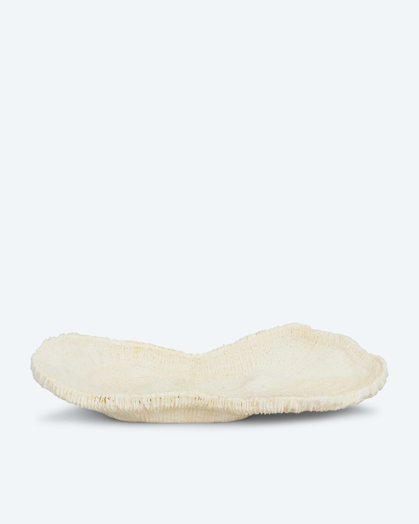 Produktabbildung für Schale Korallen-Design