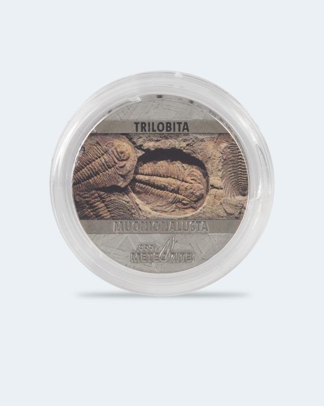 Produktabbildung für Meteoritenmünze Trilobita