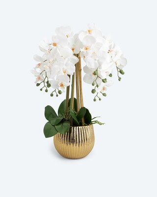 Orchidee Real Touch