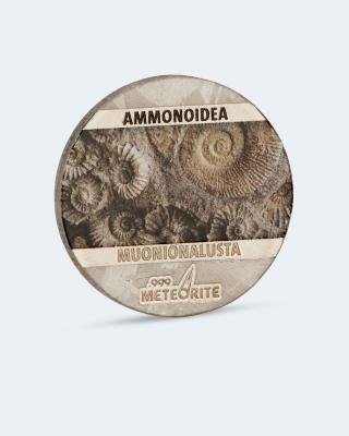 Meteoritenmünze Ammonoidea