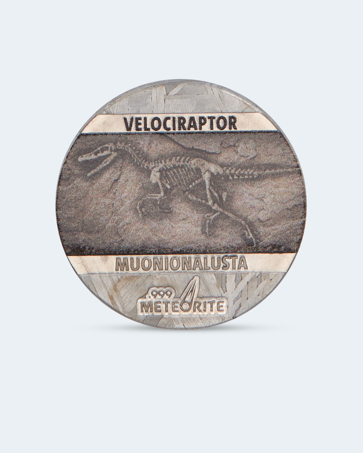 Produktabbildung für Meteoritenmünze Velociraptor