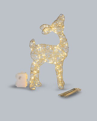 Outdoor-LED-Reh