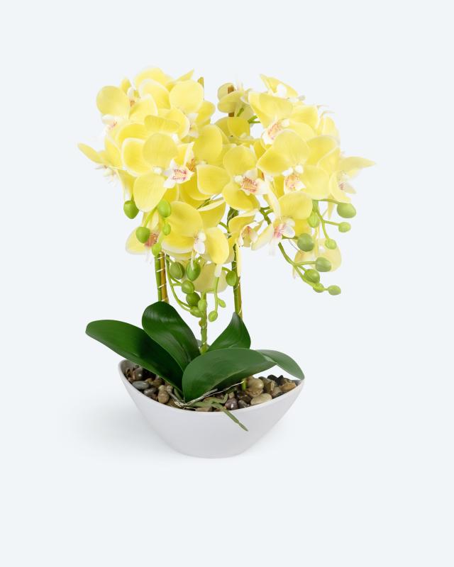 Orchideen-Arrangement