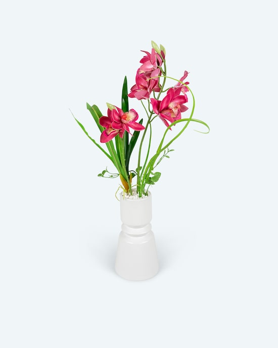 Produktabbildung für Kahnorchideen-Arrangement