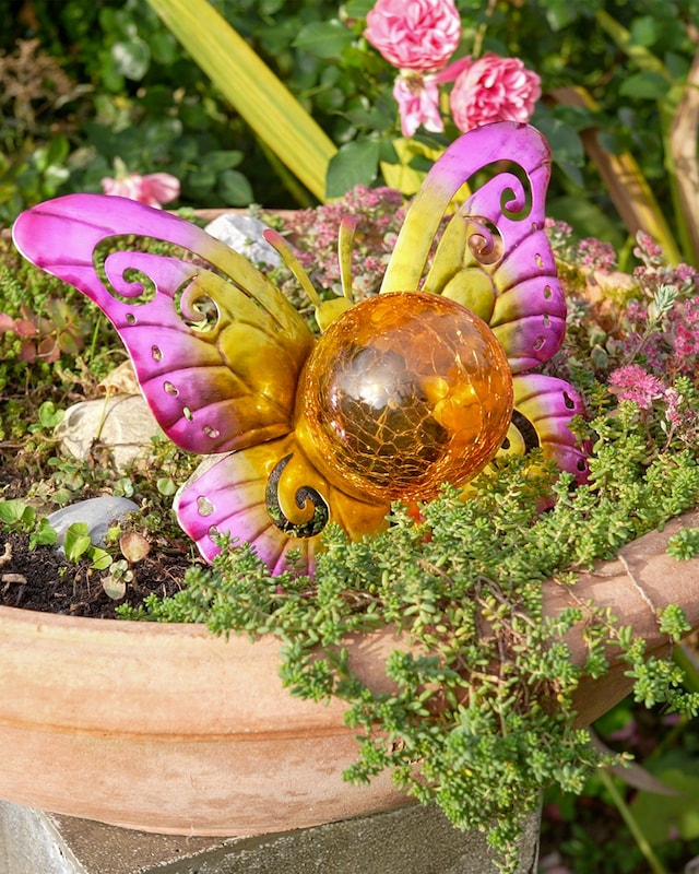Solar Dekoleuchte Schmetterling