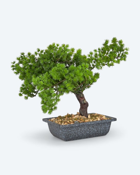Produktabbildung für Künstlicher Bonsai