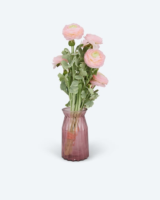 Produktabbildung für Ranunkeln mit Vase