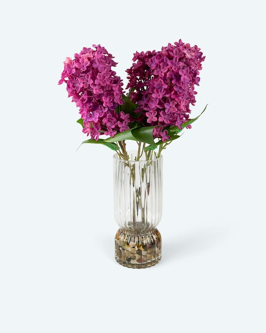 Produktabbildung für Kunst-Flieder & Vase