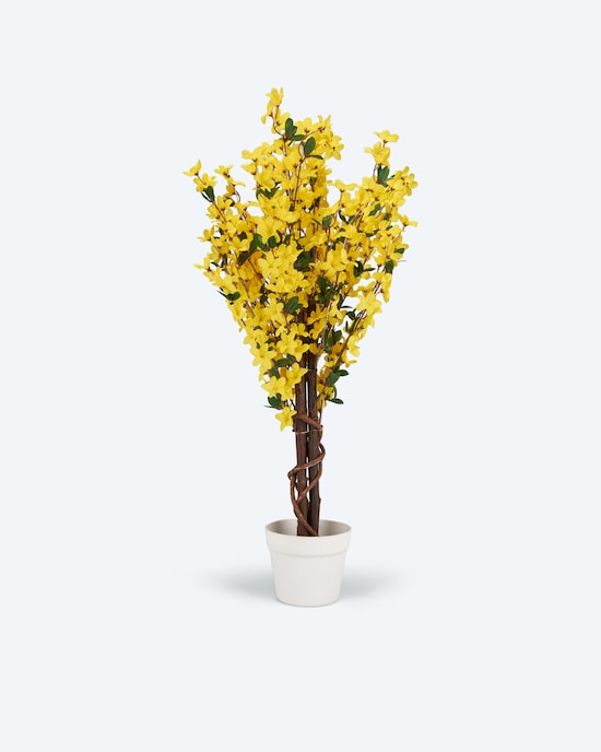 Produktabbildung für Beleuchteter Blütenbaum
