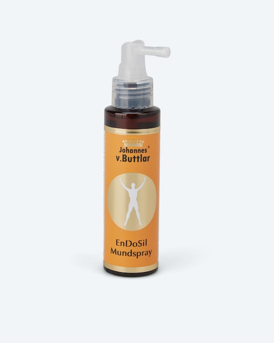 Produktabbildung für EnDoSil Mundspray, 100 ml