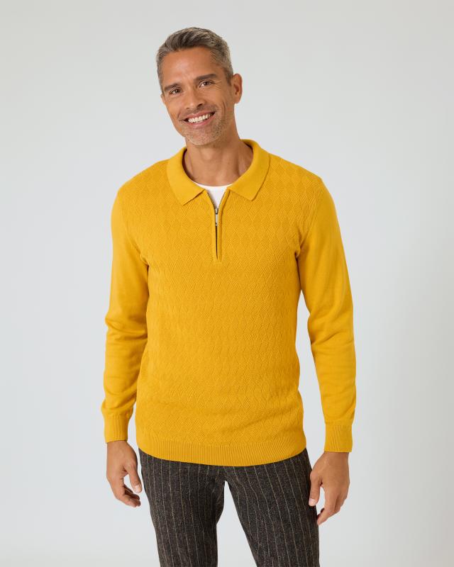 Pullover mit Polokragen