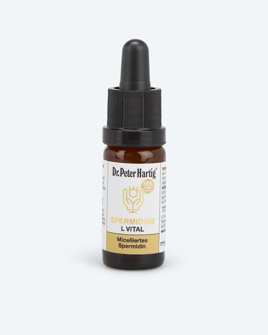 Produktabbildung für Spermidine L Vital, 10 ml