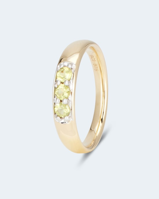 Produktabbildung für Ring mit Pallasit