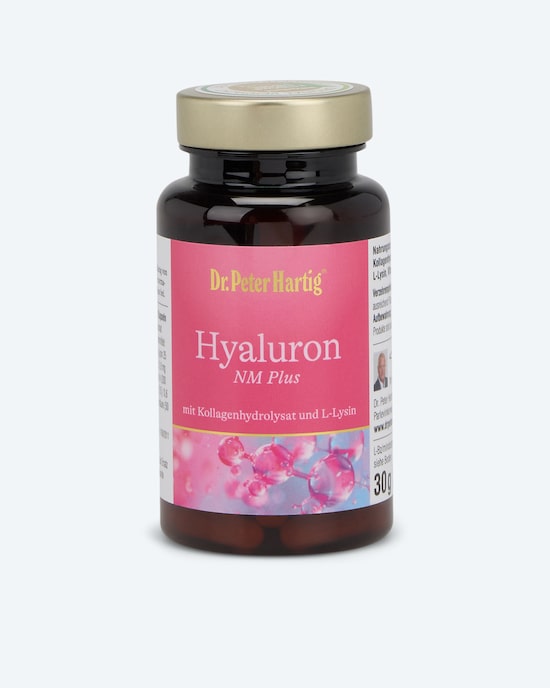 Produktabbildung für Hyaluron NM Plus, 60 Kps.